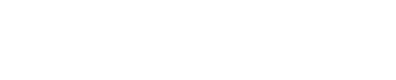 BRI_Firm Logo WHITE (002)